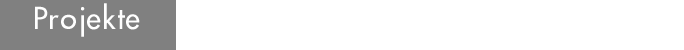 Projekte