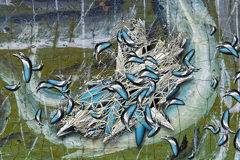 SESSAdelaide 2015